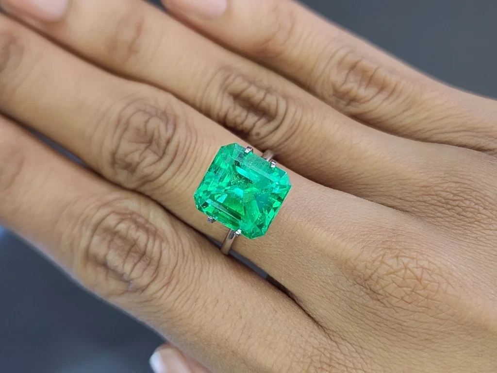 Emerald Mariposa octagon cut 8.41 carats, Colombia 5