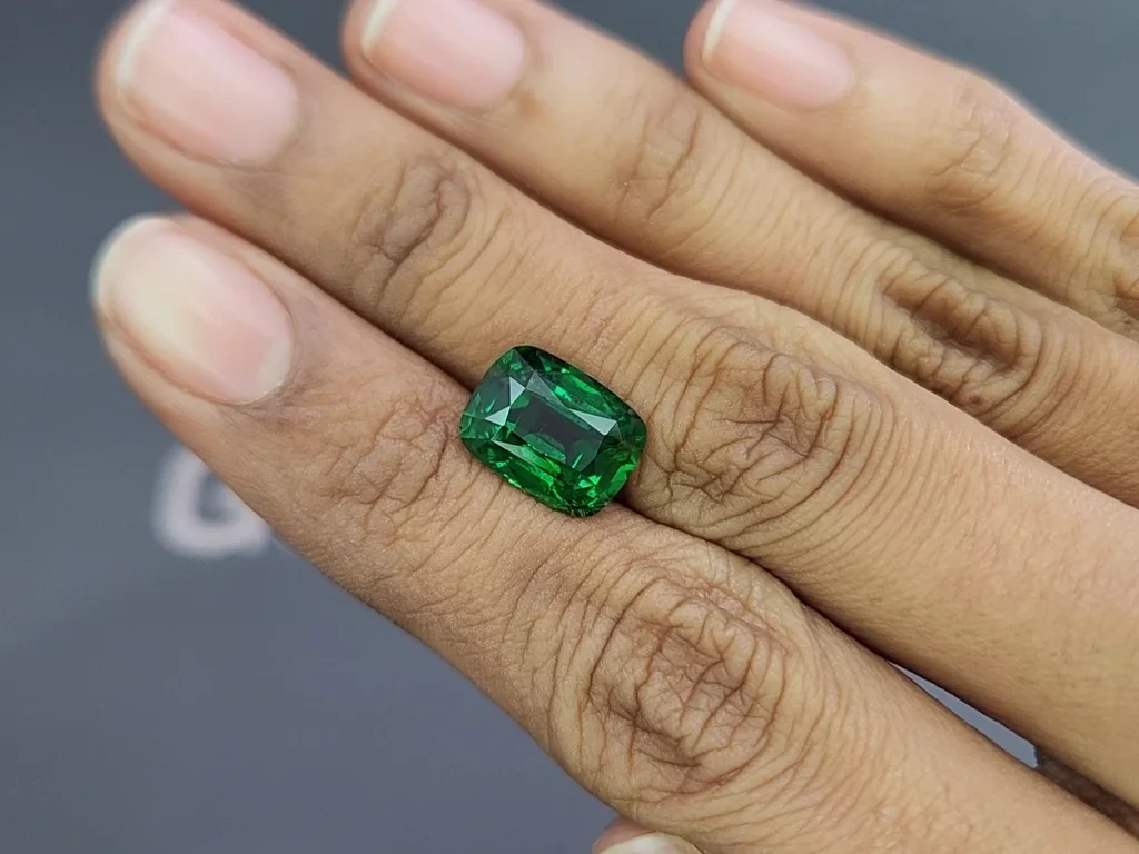 Garnet tsavorite cushion cut 5.49 carats, Africa 2
