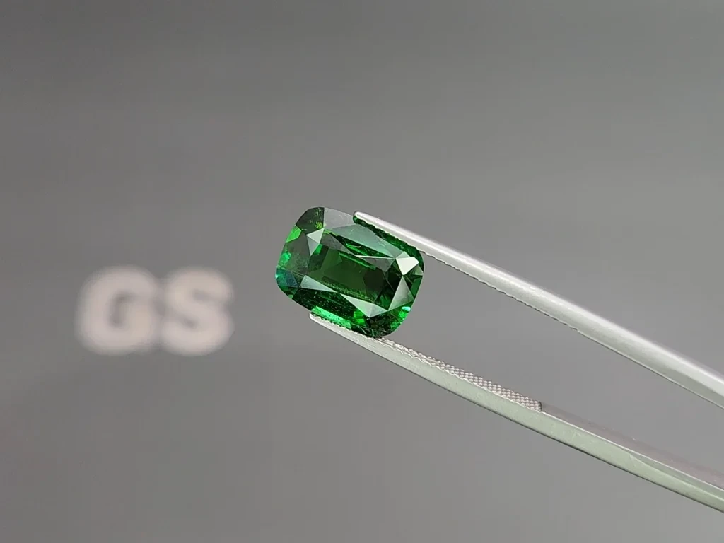 Garnet tsavorite cushion cut 5.49 carats, Africa 3
