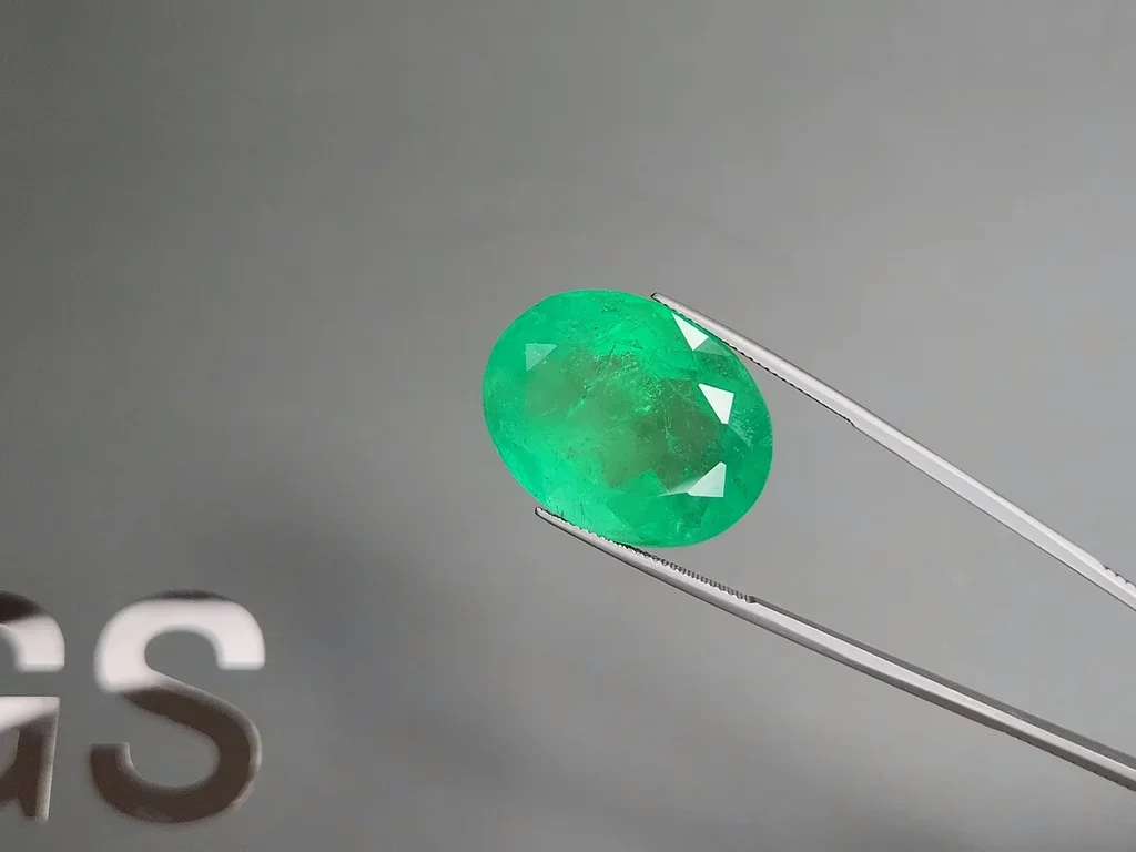 Huge Intense green emerald in oval cut 48.33 carats, Colombia 3