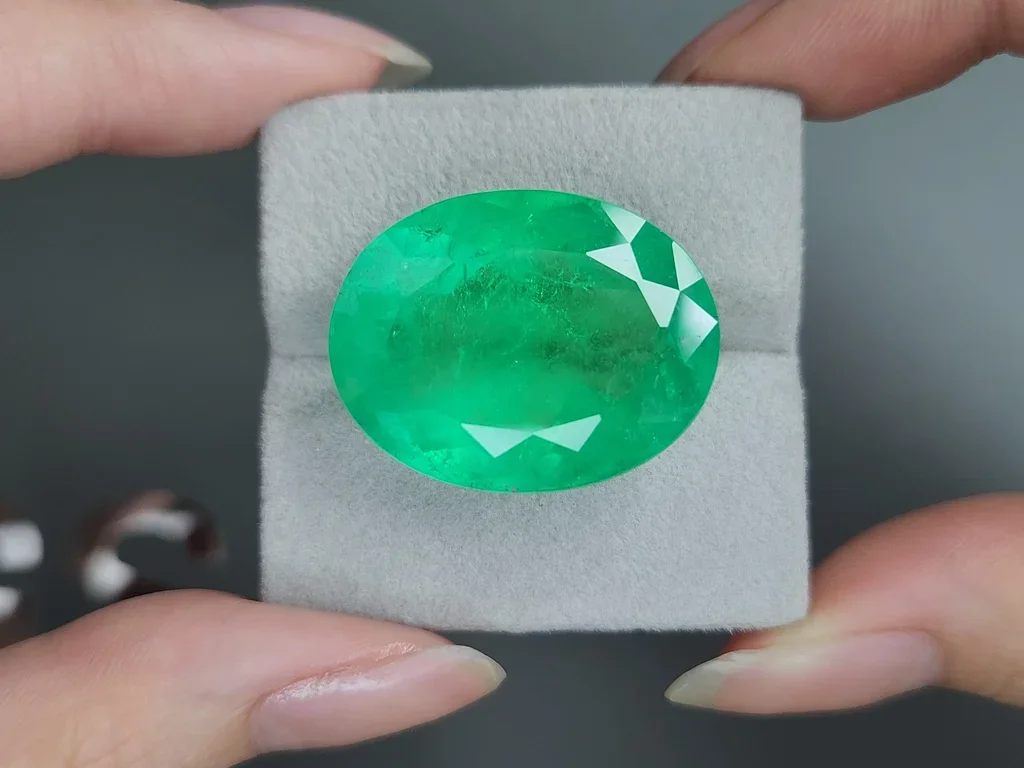 Huge Intense green emerald in oval cut 48.33 carats, Colombia 4