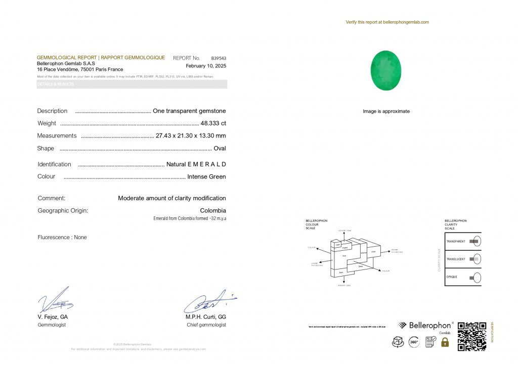 Huge Intense green emerald in oval cut 48.33 carats, Colombia 5