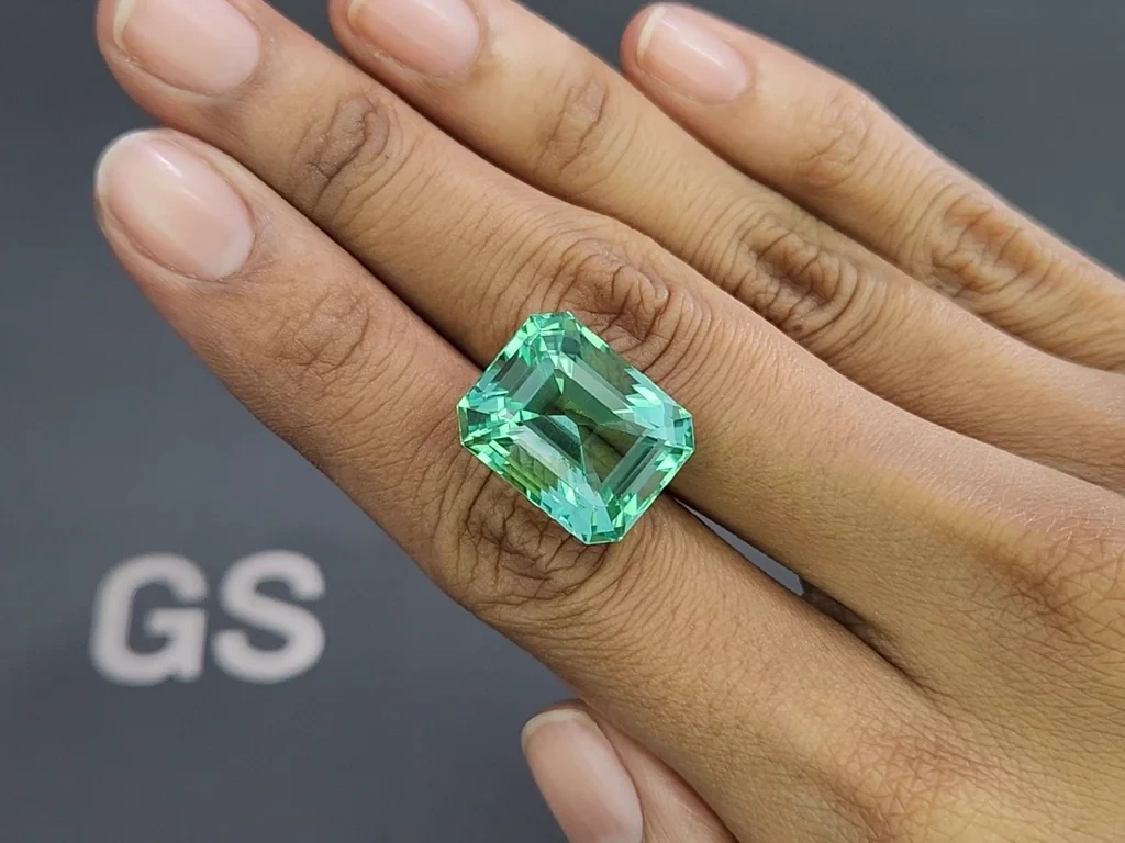 Unique Lagoon green beryl in octagon cut 22.34 carats, Nigeria 2