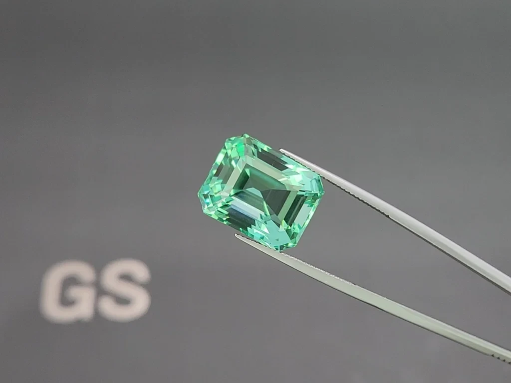 Unique Lagoon green beryl in octagon cut 22.34 carats, Nigeria 3