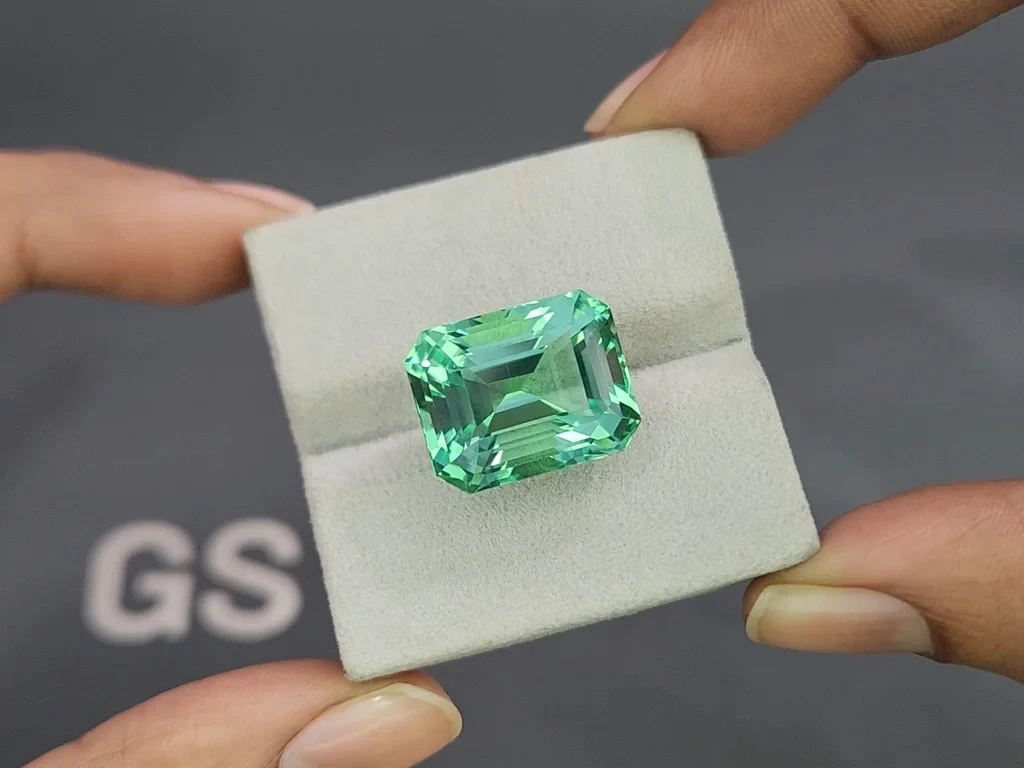 Unique Lagoon green beryl in octagon cut 22.34 carats, Nigeria 4