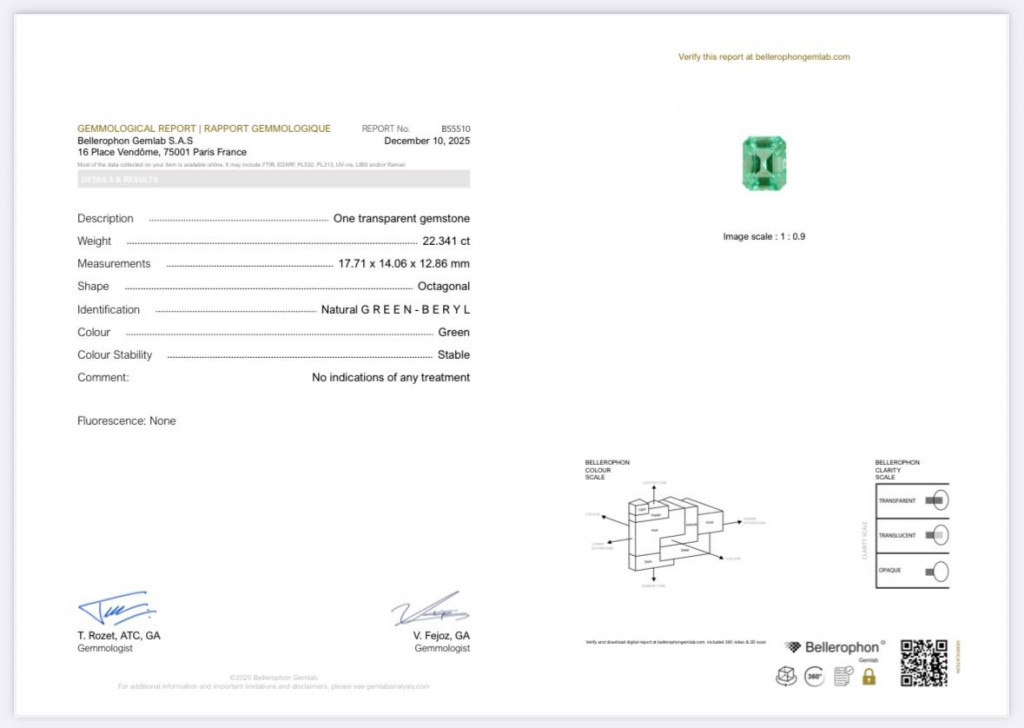 Unique Lagoon green beryl in octagon cut 22.34 carats, Nigeria 5